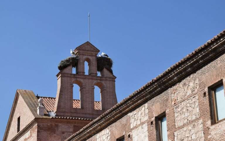 Storks nesting on a brick bell tower in Alcalá de Henares